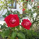 Aparthotel Masseria Santa Lucia Matera