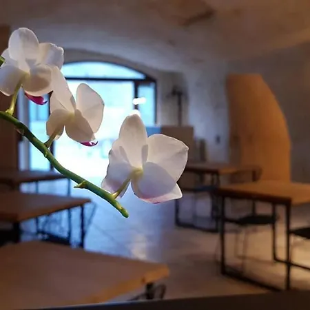 Masseria Santa Lucia 아파트호텔 마테라